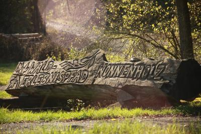 Erlebnispfad Nonnenholz