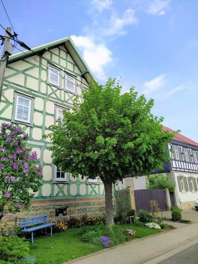 Käßlitz, Wohnhaus Hauptstraße mit Vorgarten, Melanie Mehrländer-Metzner