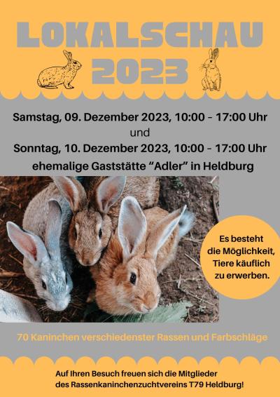 Rassekaninchenschau Heldburg 2023